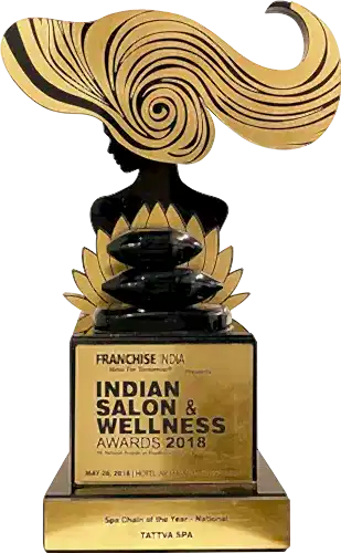 Indian Salon Wellness 2016